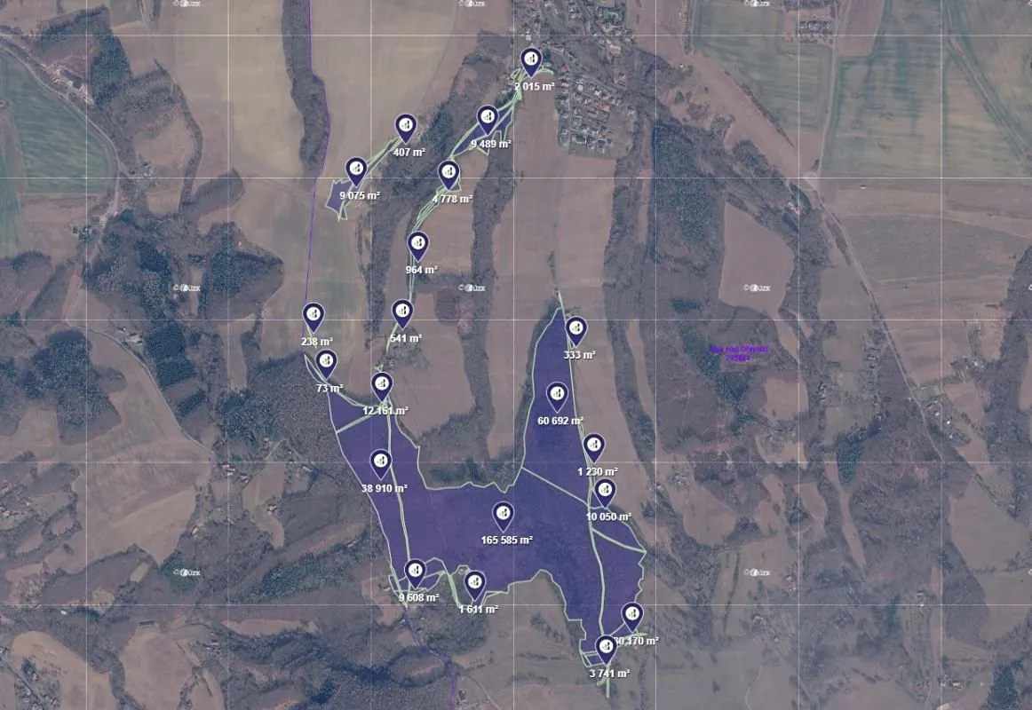 Prodej podílu 3/241 lesa 4500 m²